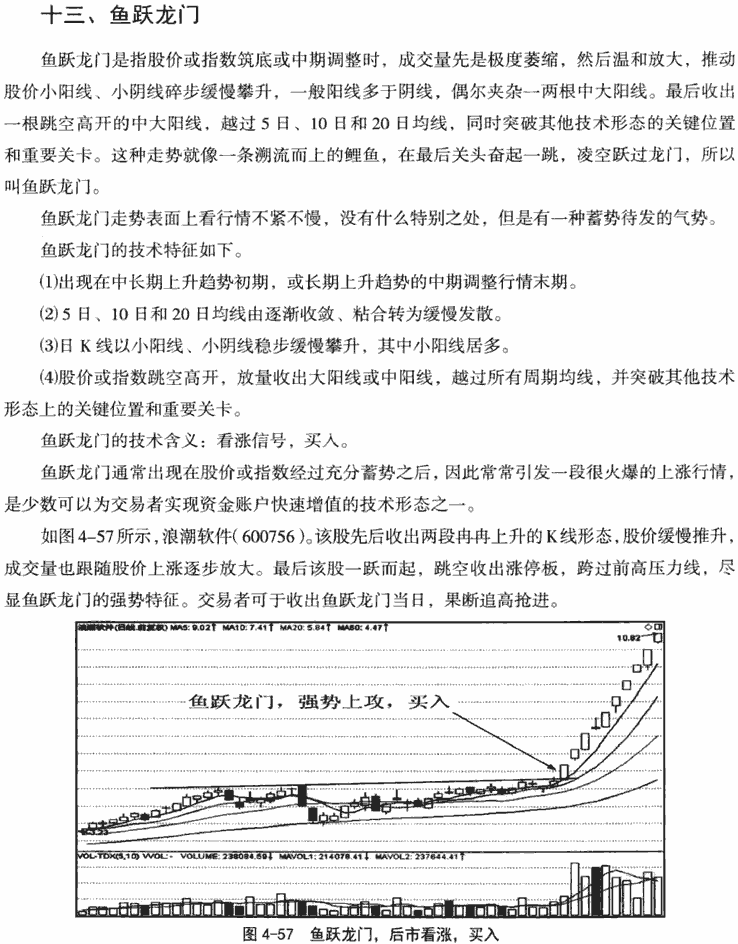 鱼跃龙门和旱地拔葱形态