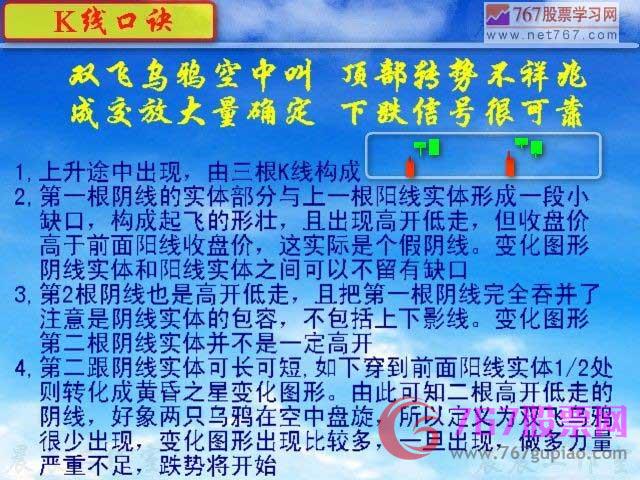 双飞乌鸦