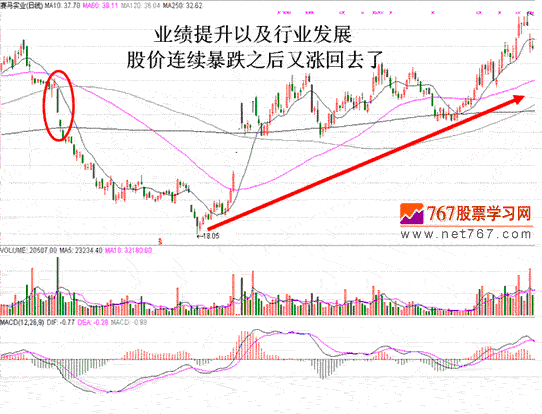 赛马实业