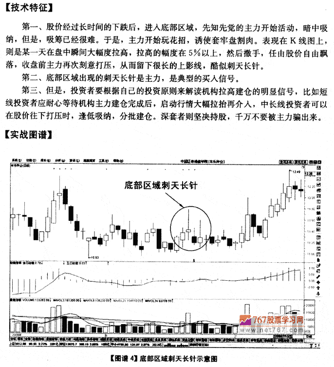 刺天长针