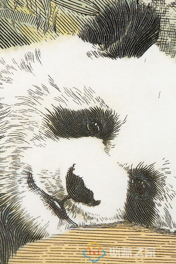 券中有画，画中有诗——赏大熊猫钞艺画有感