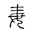 岸