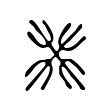 默