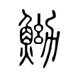 撾