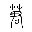 普